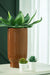 Avalyah - Medium Vase - Simple Home Plus