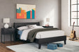 Socalle - Panel Platform Bed - Simple Home Plus