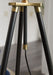Cashner - Black / Gold Finish - Metal Floor Lamp - Simple Home Plus