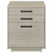 Loomis - 3-Drawer Home Office File Cabinet - Whitewashed Gray - Simple Home Plus