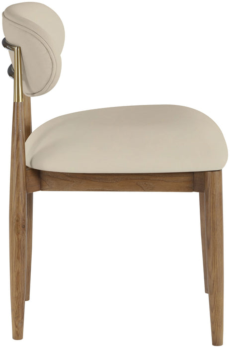 Riccio - Side Chair (Set of 2) - Walnut Frame - Simple Home Plus