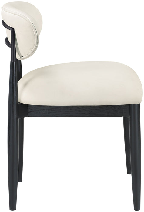 Riccio - Side Chair (Set of 2) - Black Frame - Simple Home Plus
