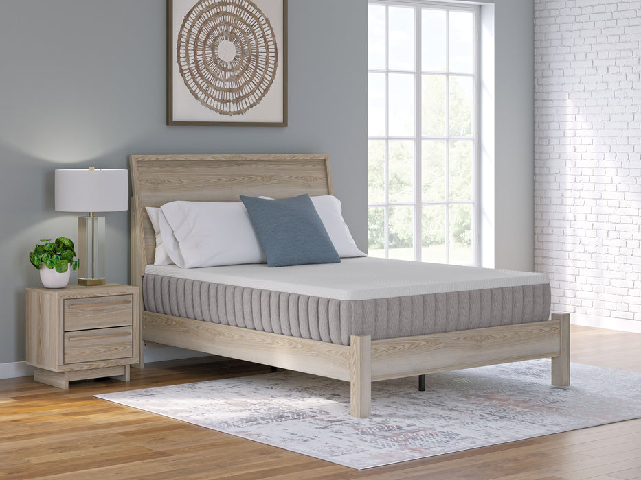 Terra Sleep Firm - Mattress - Simple Home Plus