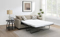 Storey - Upholstered Sleeper Sectional Chaise Sofa - Simple Home Plus