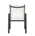 Nizuc - Outdoor Patio Dining Arm Chair With Gray Frame (Set of 2) - Simple Home Plus