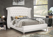 Barzini - Upholstered Wingback Bed - Simple Home Plus