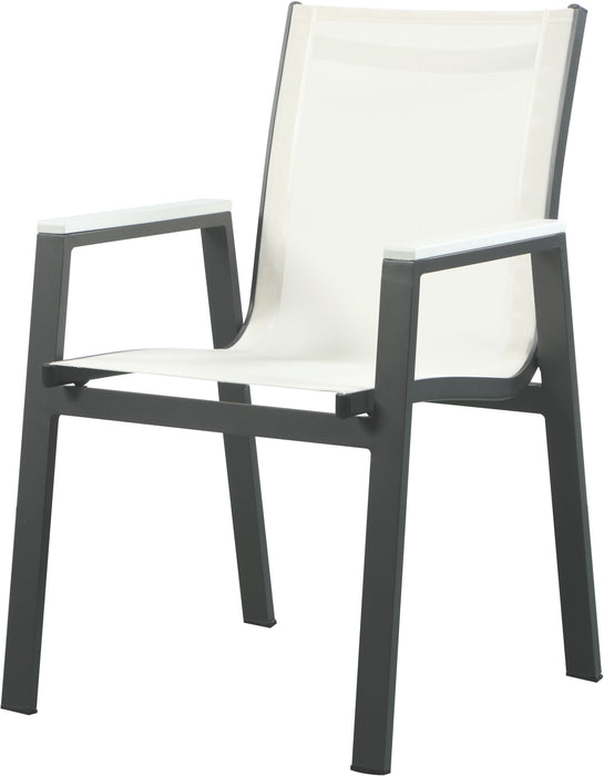 Nizuc - Outdoor Patio Dining Arm Chair With Gray Frame (Set of 2) - Simple Home Plus