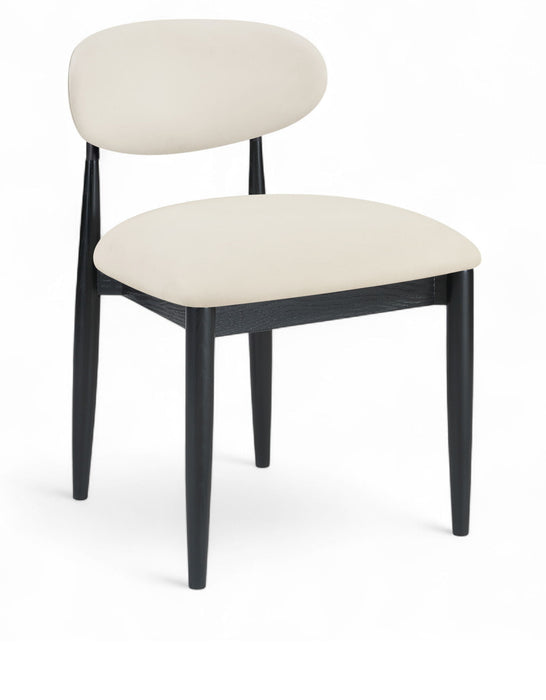 Riccio - Side Chair (Set of 2) - Black Frame - Simple Home Plus