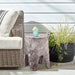 Foligno - Concrete End Table - Simple Home Plus