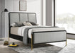 Arini - Upholstered Panel Bed - Simple Home Plus