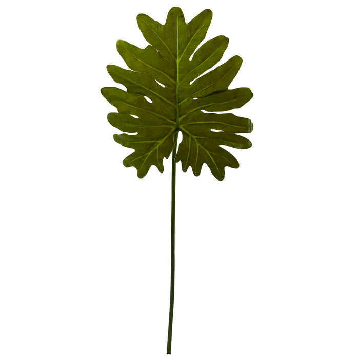 31" Selloum Philo Single Leaf Stem (Set of 12)