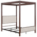 Zimmerlee - Metal Canopy Bed - Simple Home Plus