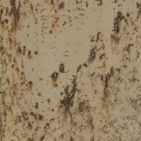 Plawite - Vase - Simple Home Plus