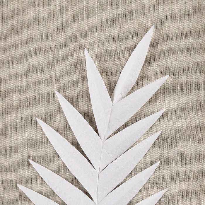 Sabal - Palm Rice Paper Framed Shadow Box (Set of 3) - Off White - Simple Home Plus