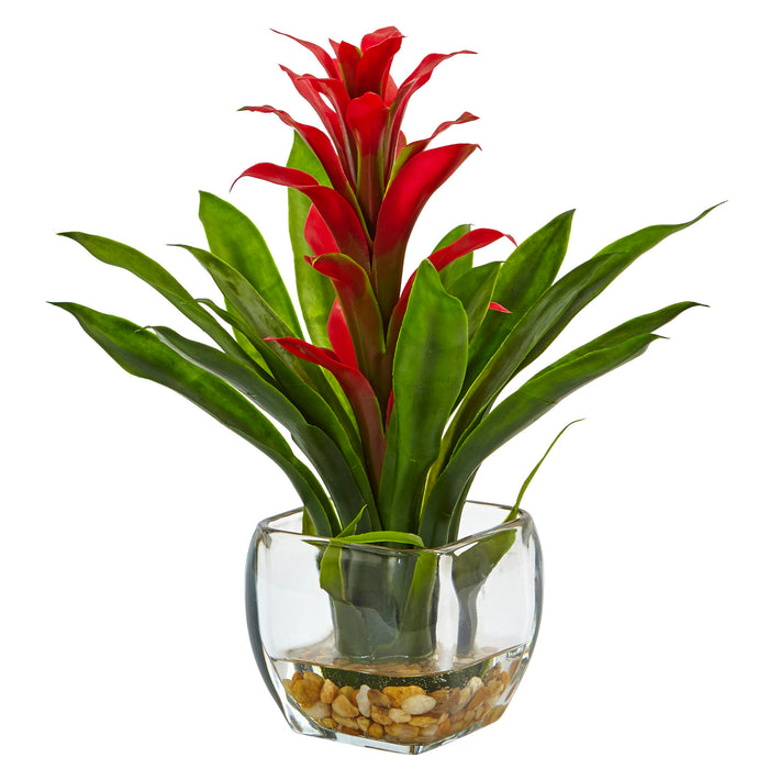 12" Bromeliad with Vase Arrangement Red