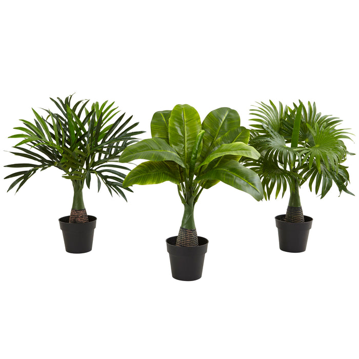 Areca Fountain & Banana Palm (Set of 3)