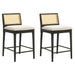Tobias - Coastal Modern Wood Counter Height Kitchen Bar Stool - Simple Home Plus