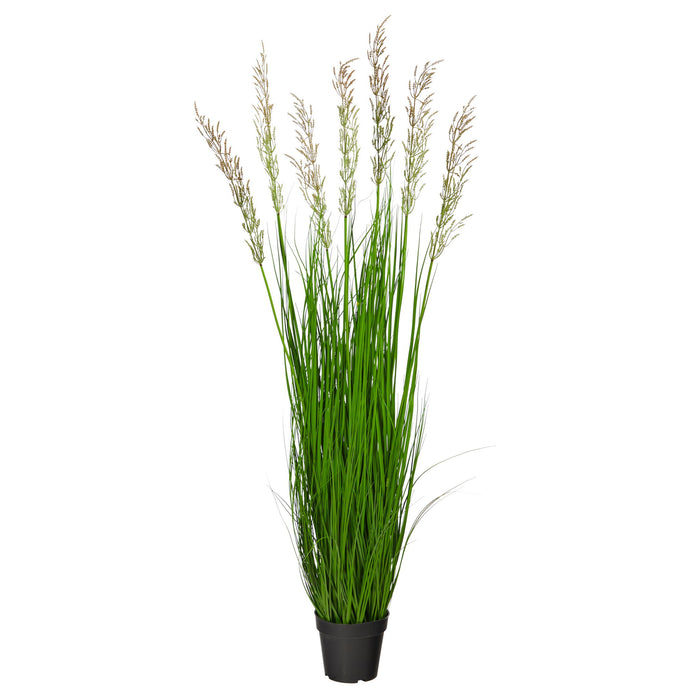 4.5' Plum Grass Artificial Plant