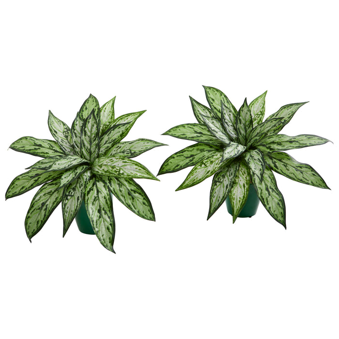 8" Silver Queen Artificial Plant in Green Planter (Set of 2)