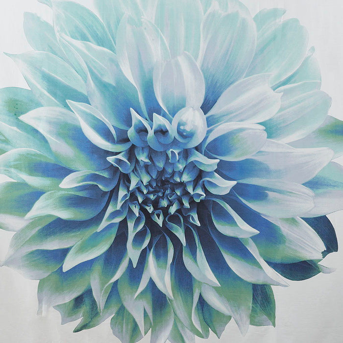 Norah - Printed Floral Shower Curtain - Aqua - Simple Home Plus