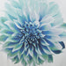 Norah - Printed Floral Shower Curtain - Aqua - Simple Home Plus