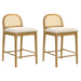 Lucio - Modern Farmhouse Wood Counter Height Kitchen Bar Stool - Simple Home Plus