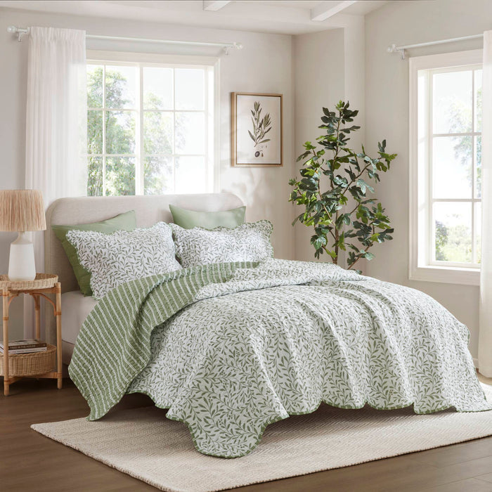 Darcy - 3 Piece Print Quilt Set - Sage Green - Simple Home Plus