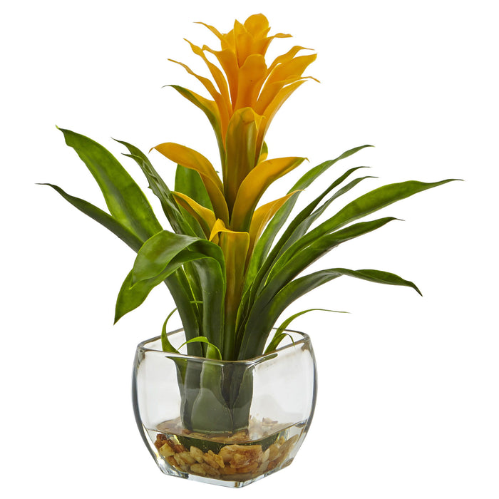 12" Bromeliad with Vase Arrangement Yellow