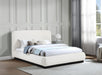 Rigby - Bed With Black Base - Simple Home Plus