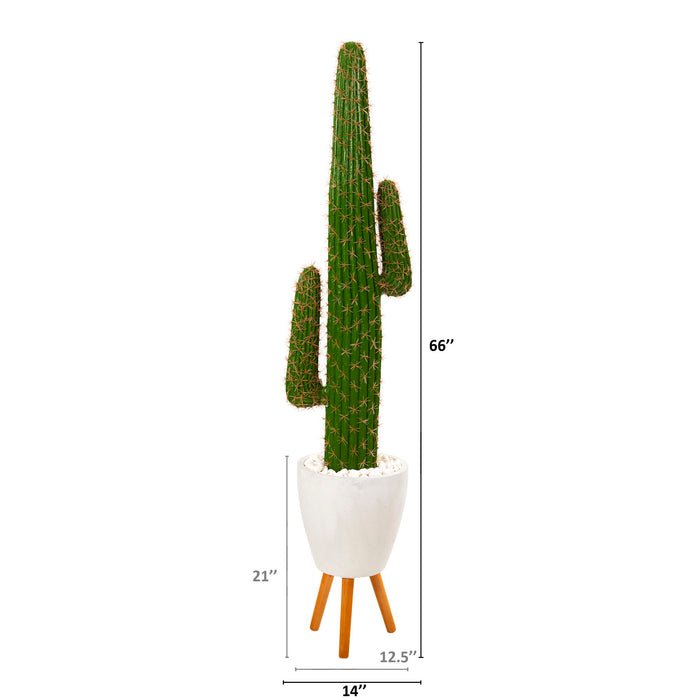 5.5' Cactus Artificial Plant in White Planter with Stand