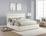 Adam - Chenille Fabric Bed With 52" Headboard - Simple Home Plus