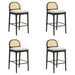 Lucio - Modern Farmhouse Wood Bar Height Kitchen Bar Stool - Simple Home Plus