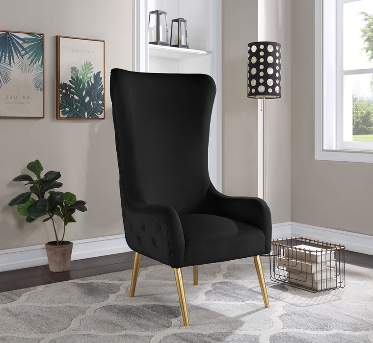 Alexander - Accent Chair - Simple Home Plus