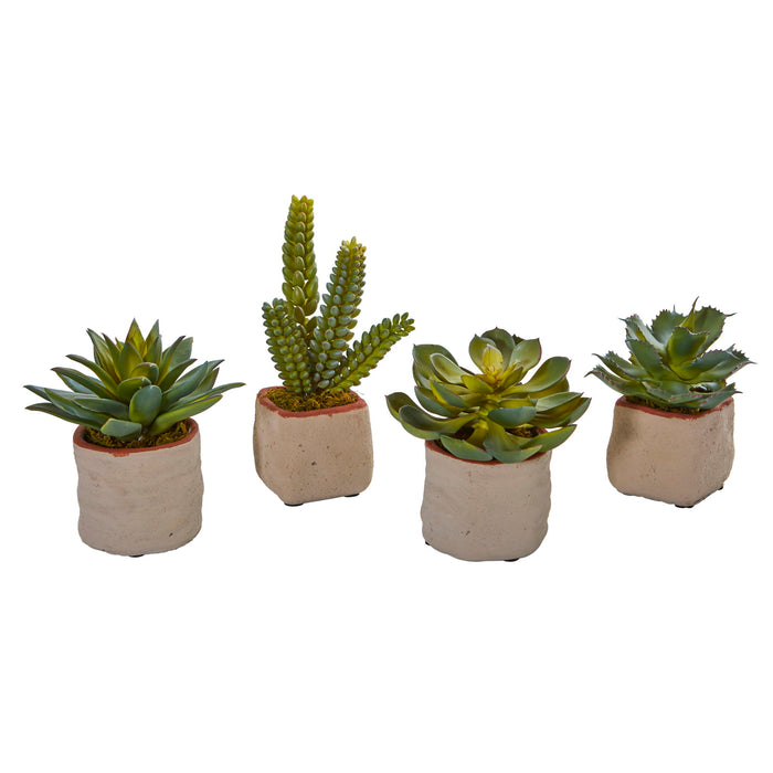 Mixed Succulent Artificial Plant (Set of 4)