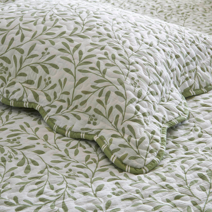 Darcy - 3 Piece Print Quilt Set - Sage Green - Simple Home Plus