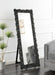 Mckay - Acrylic Frame Standing Mirror - Smokey Gray - Simple Home Plus