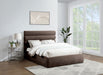 Adam - Chenille Fabric Bed With 52" Headboard - Simple Home Plus