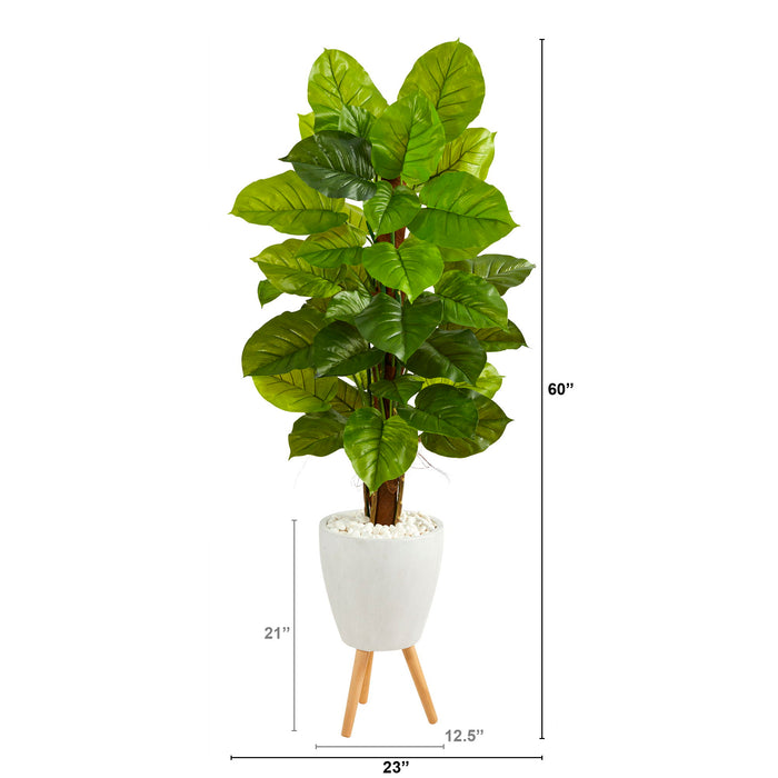 60" Philodendron Plant in Planter with Stand (Real Touch)