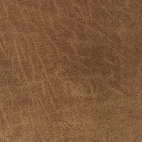 Cortnie - Pillow - Simple Home Plus