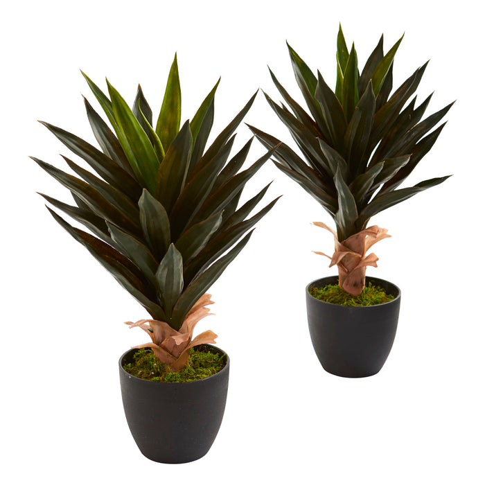 20" Agave Artificial Plant (Set of 2)