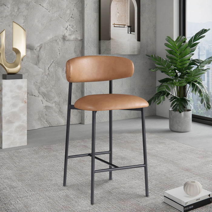 Lupita - Counter Stool (Set of 2) - Simple Home Plus