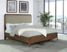 Maderia - Upholstered Panel Bed - Simple Home Plus
