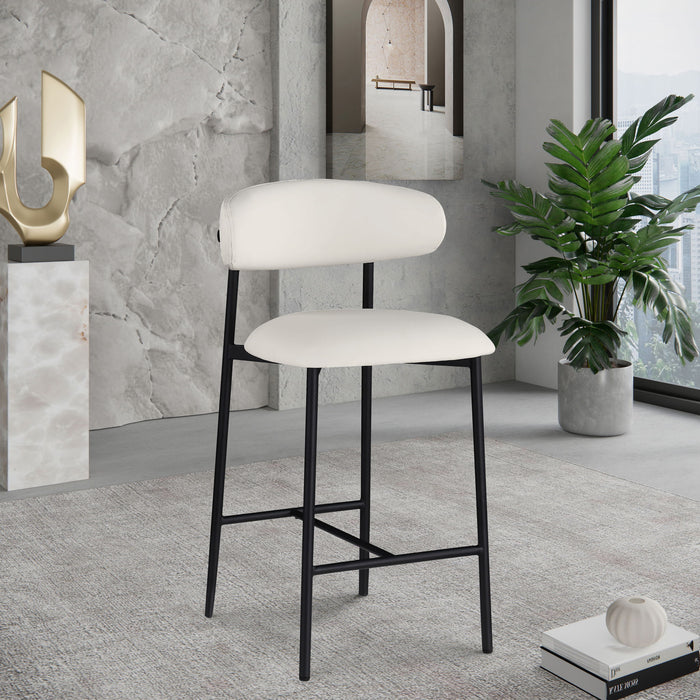 Lupita - Counter Stool (Set of 2) - Simple Home Plus