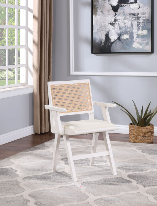 Abby - Dining Arm Chair (Set of 2) - Simple Home Plus