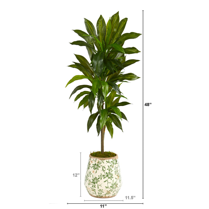 4' Dracaena Plant in Flower Print Planter (Real Touch)