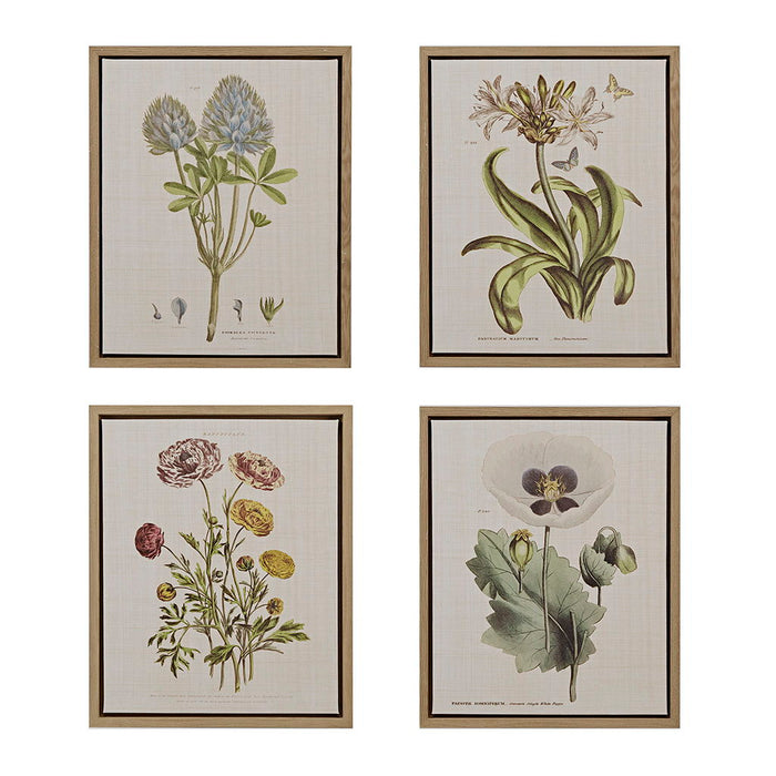 Herbal Botany - Framed Linen Canvas (Set of 4) - Green - Simple Home Plus