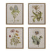 Herbal Botany - Framed Linen Canvas (Set of 4) - Green - Simple Home Plus
