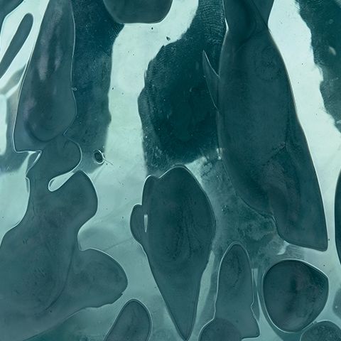 Cartshaw - Vase - Simple Home Plus