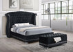 Barzini - Upholstered Wingback Bed - Simple Home Plus