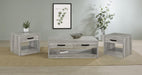 Felix - Coffee Table Set - Simple Home Plus